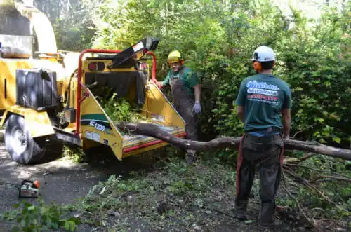 tree services Inverness Highlands North